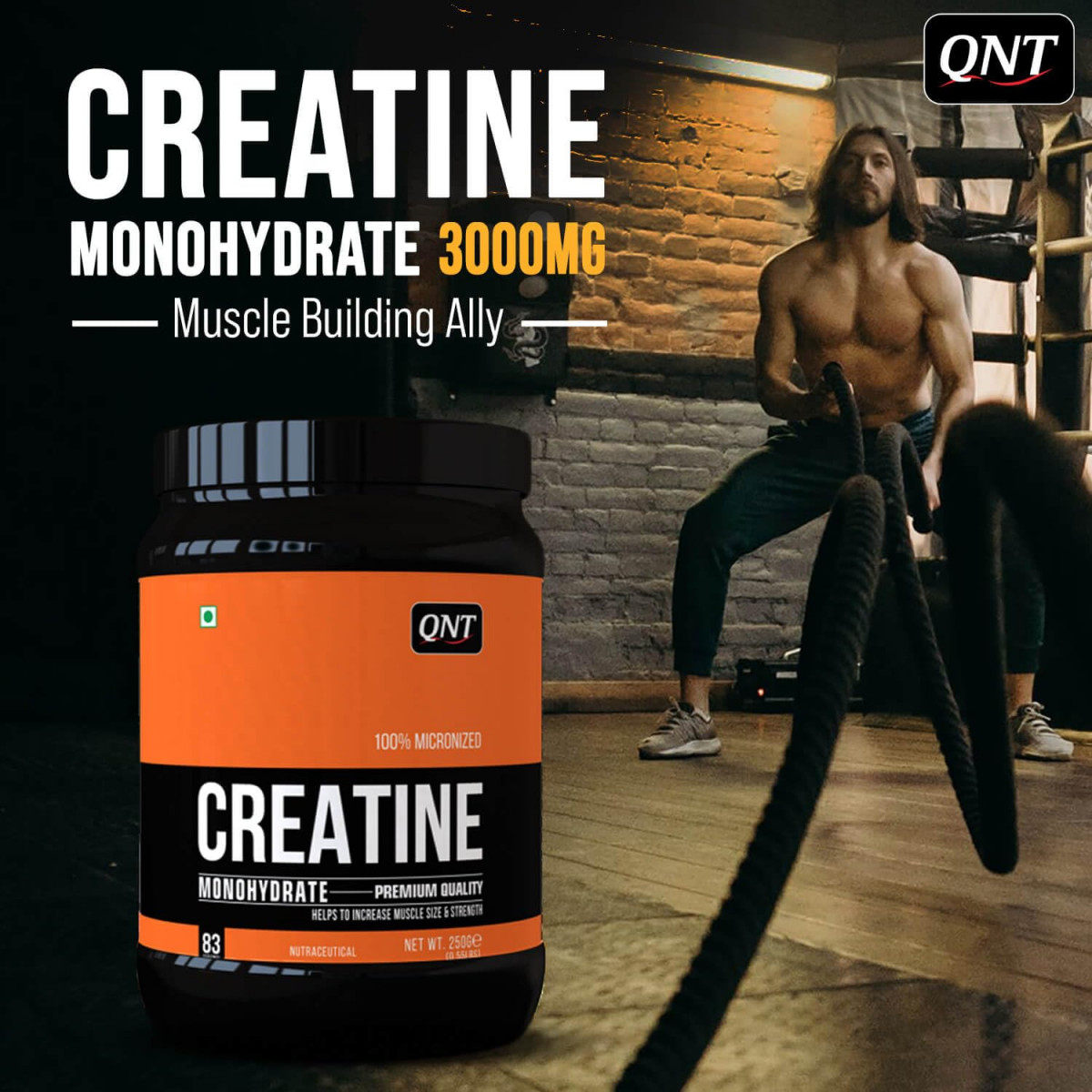 QNT Creatine Monohydrate 250g,